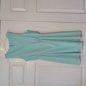 Francesca's Dress NWOT